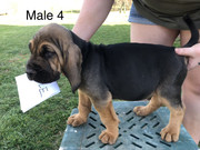 C8A1220A-6BC4-49D9-A366-A0BE23B4C061