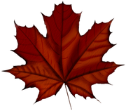 TADD_elements_Shimmer_Fall_54