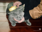 photo 4 2025 12 27 21 06 10