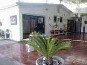 244925844_845110272830178_6562226068633813570_n