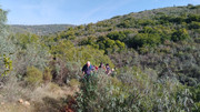 IMG-20251129-130348