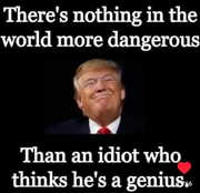 There-is-no-more-dangerous-in-the-world-than-an-idiot-who-think