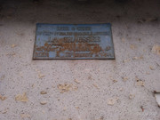 P-20210824-094706-p.jpg