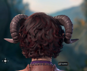 Nevari (Head - Back)