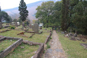IMG-2933
