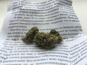 8AC1A26A-7CEA-4C6A-B46D-FFF252A5E8E9