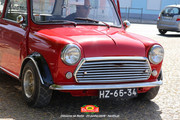 IMG-6781