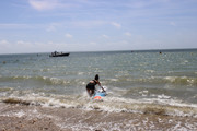 IMG-6427