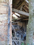 IMG-8543.jpg