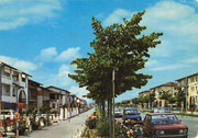 i.postimg.cc/pm1C6MkD/CCI-000486.jpg