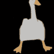 image.gif