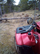 IMG_20210314_134308_6