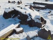 DSCN8197