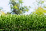 Commercial-solutions-astro-turf-Mesa
