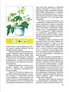 Plodovy-sad-v-komnate-2002-10