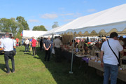 IMG-9252.jpg