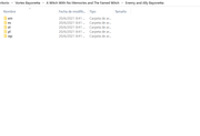 4-Subfolder-structures-2variation
