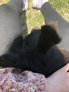 FADDC90C-3FEE-4096-9E5D-6E8118E1DF66