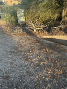 IMG-7582