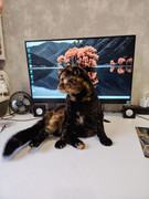 photo-2025-12-02-13-48-27