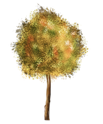 TADD_elements_Autumn_Fairy_Tales_93