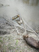 IMG-20200518-172755