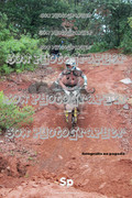 IMG-0302