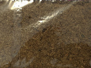 photo5242475564860813918