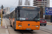 IMG-1905