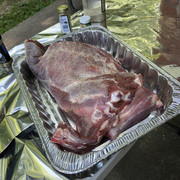 F07CDBE8-72F0-4B22-A713-FE1B0D4EE856