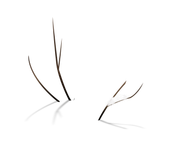 GJ-PUCluster-Joyful-Snowman-24