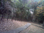 picture-0023_27057879098_o