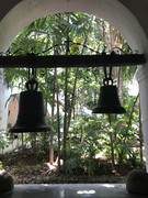 IMG-8874