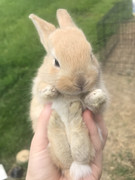 DD618379-84AB-470C-8571-779923342CCF