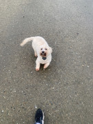 91B1DAD3-D898-4987-9E19-158FAD826DA7