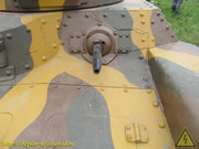 IMG-6589