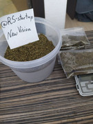 photo5274204463961321138