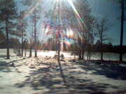 heaven putting the spotlight on these guys (2026)