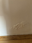 IMG-6523