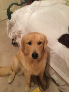 image_2023-02-02_224838111