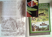 IMG-0002