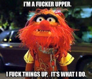 253369135_419532702874067_7694062276781426691_n