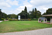 DSC-0008