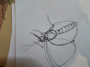 IMG-20240228-132215027