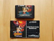 castlevania_new_generation_cart