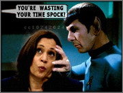mind-meld500
