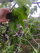 E178E8F1-CF34-4498-8203-6F1FF7A6E6B6