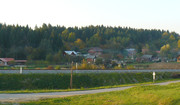 romsko_naselje_leta_2008