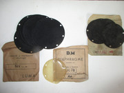 IMG-7944.jpg