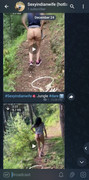 Screenshot-20241224-121118-Plus